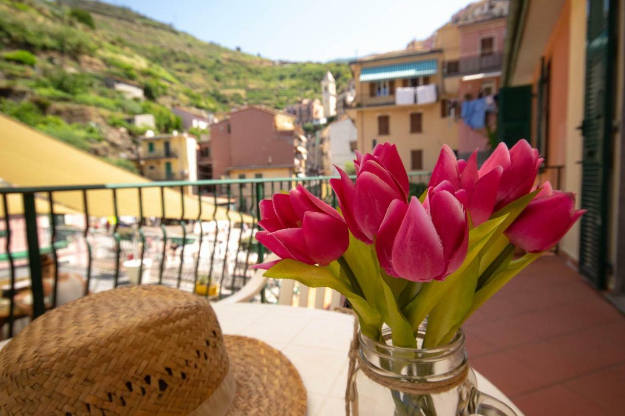 Ca' De Carlin Apartment Manarola Luaran gambar